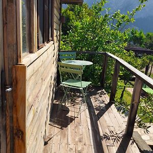 Standart Bungalov